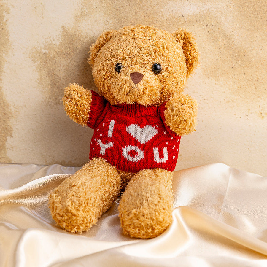 Confession Teddy Bear