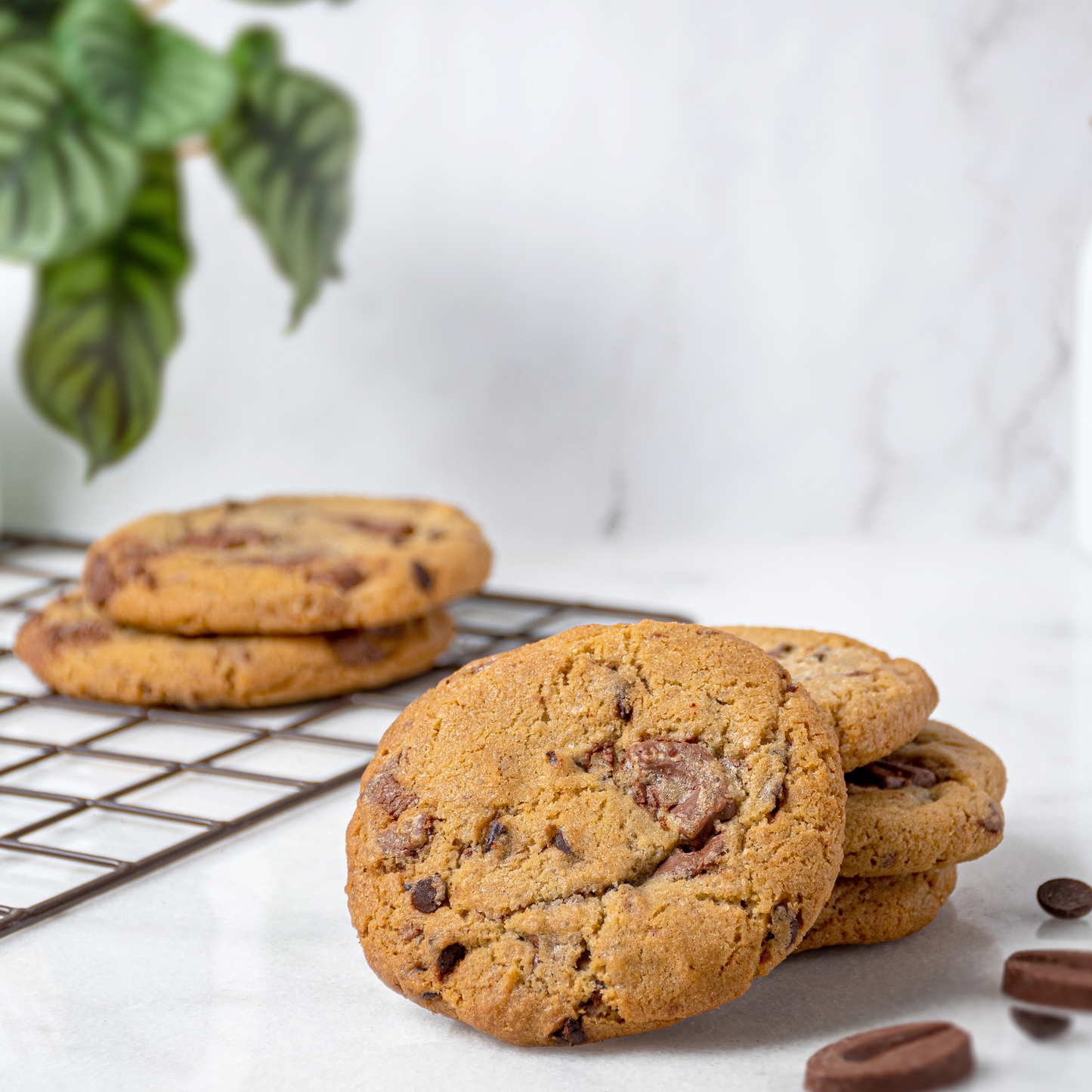 Chocolate Chunk Cookie