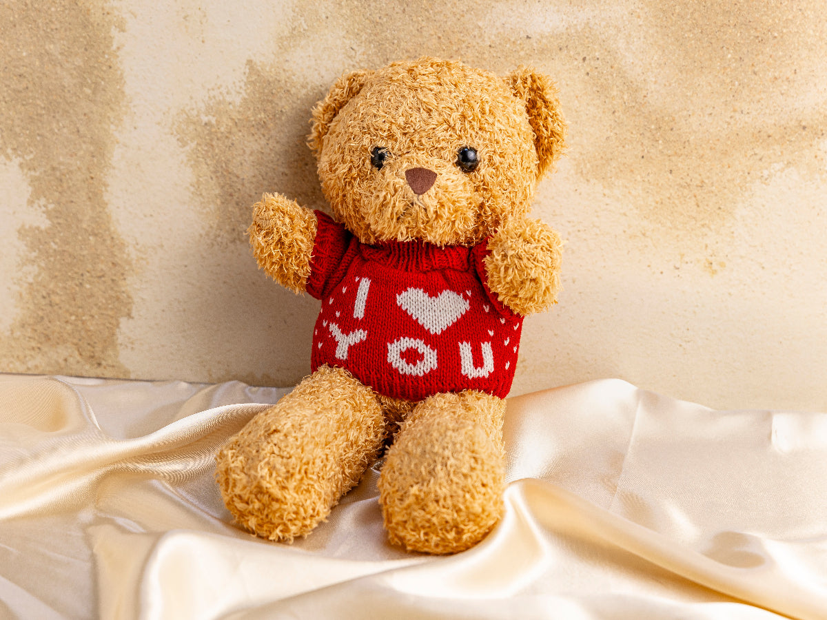 Confession Teddy Bear