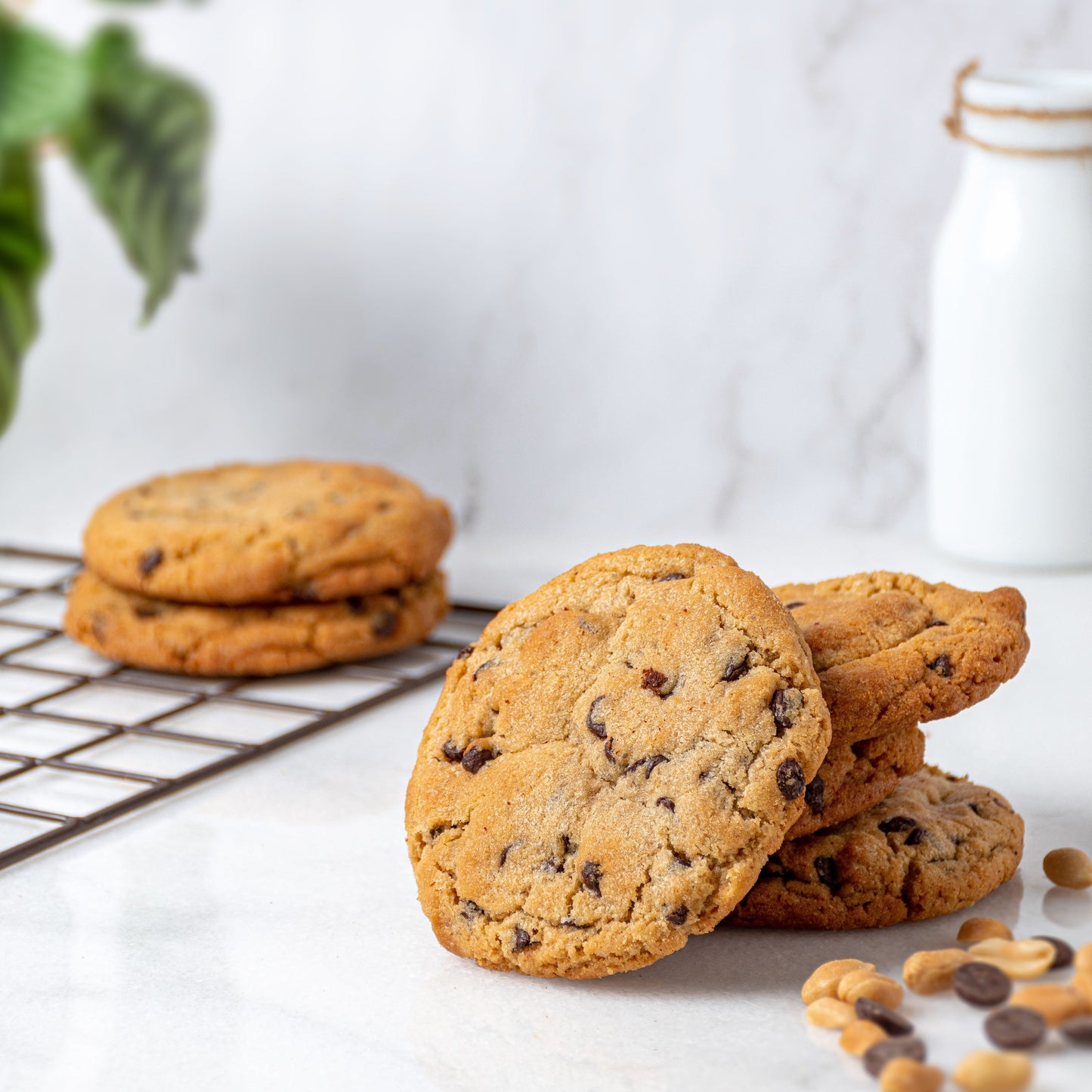 Peanut Butter Chocolate Cookie