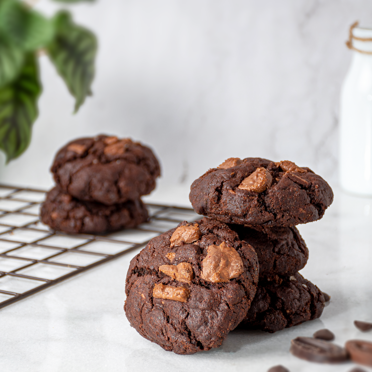 Triple Chocolate Cookie
